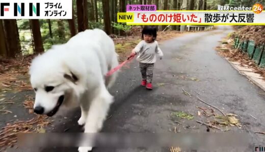 まるで「もののけ姫」？　超大型犬と1歳女児の“お散歩映像”　再生回数が1700万回超