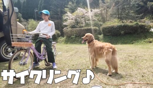 愛犬とお花見しながらサイクリングを楽しむ春休み