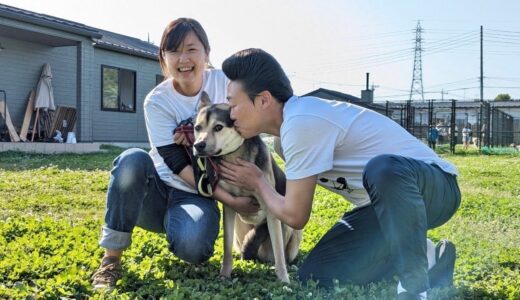 みやぞん、保護犬カフェに行く